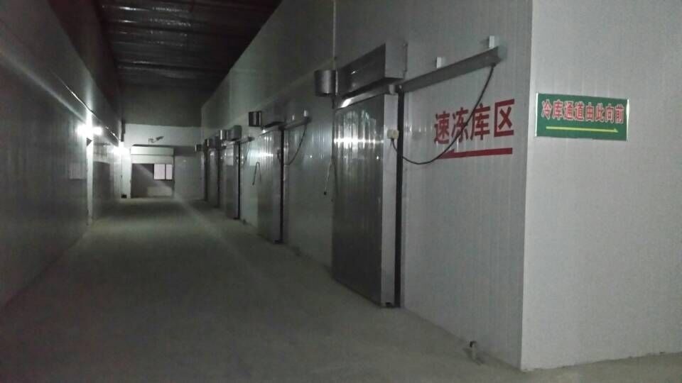 Chambre froide préfabriquée de panneau &quot;sandwich&quot; d'unité centrale refroidissant pré le type de porte sectionnel
