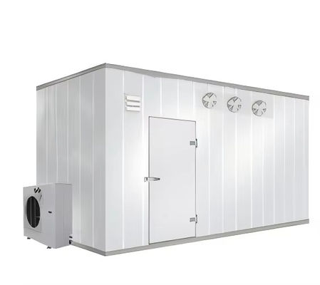 Compresseur Bitzer Panneaux de stockage de chambres froides à petite et grande échelle Conteneurs de conservation fraîcheur Hôtels médicaux Nouveau Pro Construction