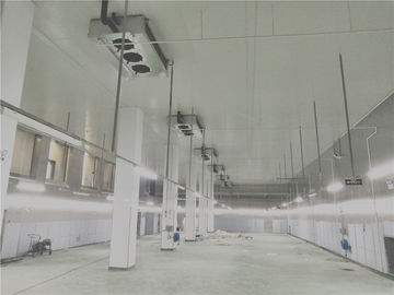 Chambre froide adaptée aux besoins du client imperméable de dimension d'entreposage au froid de logistique grande