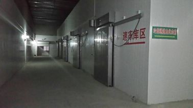 Chambre froide préfabriquée de panneau "sandwich" d'unité centrale refroidissant pré le type de porte sectionnel